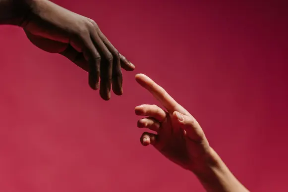 كازينو فيغاس كريست الدعم